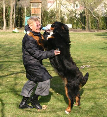 Aaron Du sanctuaire des loups