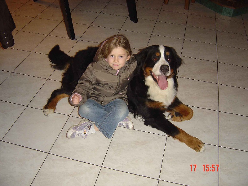 Alto Du sanctuaire des loups