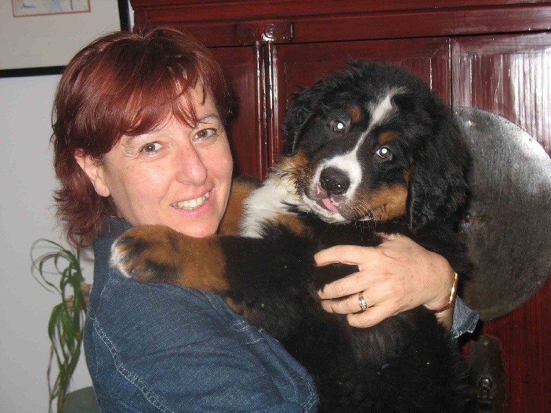 CH. C'butch Du sanctuaire des loups