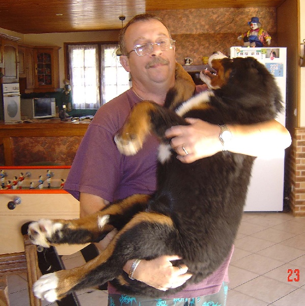 Emy Du sanctuaire des loups